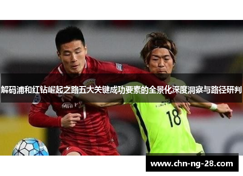 解码浦和红钻崛起之路五大关键成功要素的全景化深度洞察与路径研判