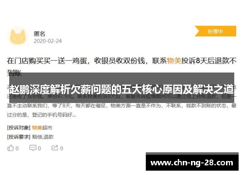 赵鹏深度解析欠薪问题的五大核心原因及解决之道